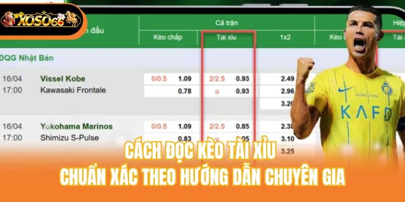 Cách đọc kèo tài xỉu chuẩn xác theo hướng dẫn chuyên gia